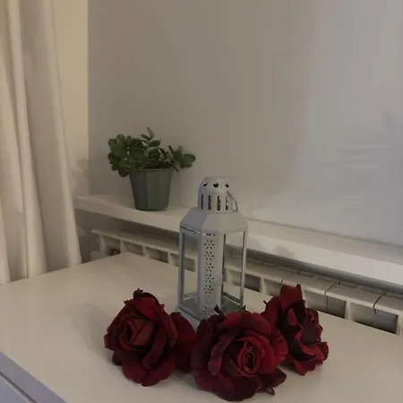 4m * Rome